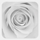 Search for pick stickers Party