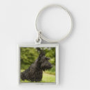Search for scottish terrier key rings Animal