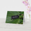 Search for stag cards Animal