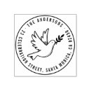 Search for peace dove Modern
