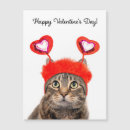 Search for tabby cards magnets Pet