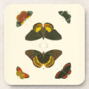 Search for bright coasters White