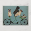Search for tandem cards invites Pugs