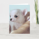 Search for coated cards Animals