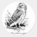 Search for barn owl stickers Tyto alba