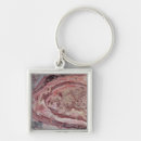 Search for false key rings Geography