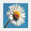 Search for big flower magnets Nature