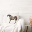 Search for equestrian cushions Vintage