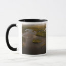 Search for guyana mugs Pete oxford