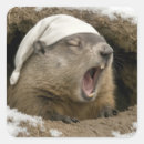 Search for yawning stickers Wildlife