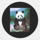 Search for pandas stickers Funny