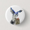 Search for jay badges Animals