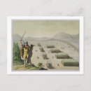 Search for celte postcards Celtic
