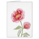 Search for coral peonies cards Watercolor