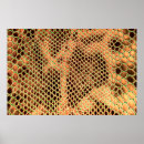 Search for snake skin posters Background