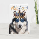 Search for funny husky cards Huskies