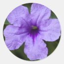 Search for dwarf stickers Nature