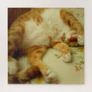 Search for cute ginger cat puzzles Pet