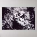 Search for shady posters Trees