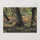 Search for autumn forest postcards Photography
