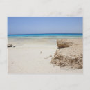 Search for red beach postcards Egypt
