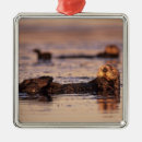 Search for otter christmas tree decorations Paw