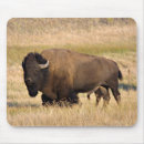 Search for bison mousepads Buffalo
