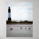 Search for gull posters Clouds
