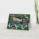 Search for cat sympathy cards Condolence