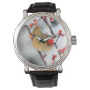 Search for cardinal watches Avian