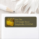 Search for stream return address labels Fall
