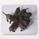 Search for unity mousepads Togetherness