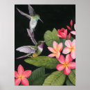 Search for hummingbird gifts Nature