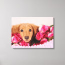 Search for dachshund nursery decor Doxie