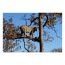 Search for wild africa posters Leopard