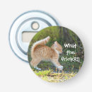 Search for ginger kitchen dining Kitten