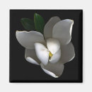Search for single flower magnets Bloom