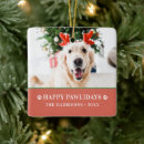 Search for canine christmas tree decorations Cute puppy