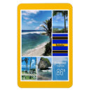 Search for barbados magnets Palm trees