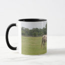 Search for breeders mugs Horse