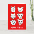 Search for pitbull cards Animal