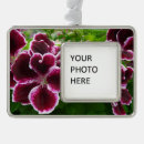 Search for geranium christmas tree decorations Purple