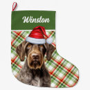 Search for pointer christmas stockings Pets