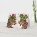 Search for pair cards Cat