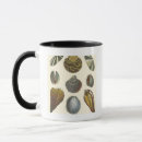 Search for vintage seashell mugs Conch shell