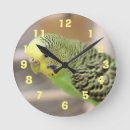 Search for budgie art Yellow