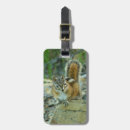 Search for chipmunks travel accessories Nature