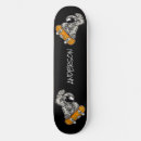 Search for satellite skateboards Planet