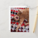 Search for yawn postcards Cute
