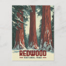Search for redwood national park postcards California